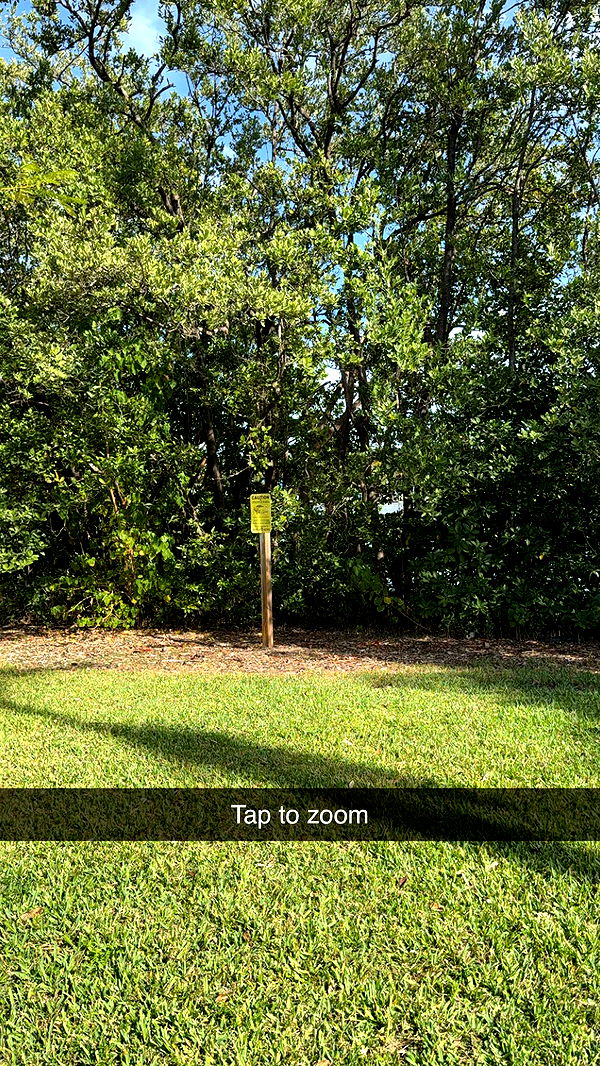 graceboor image ~ Altpins