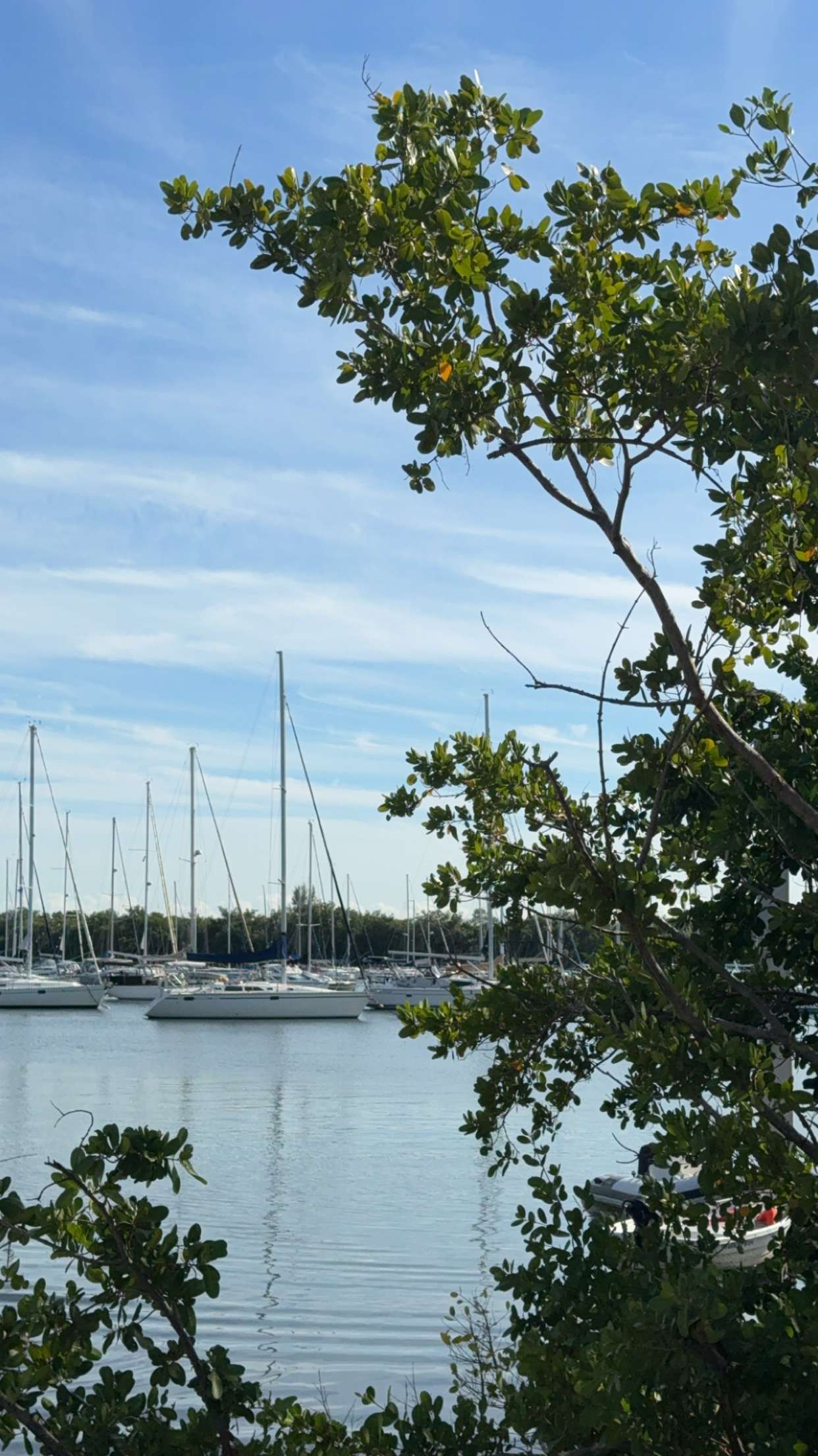 graceboor snapchat image archive image