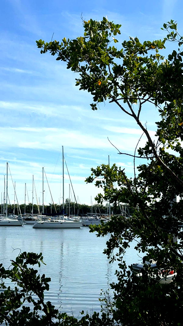 graceboor image ~ Altpins