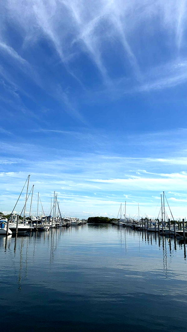 graceboor image ~ Altpins