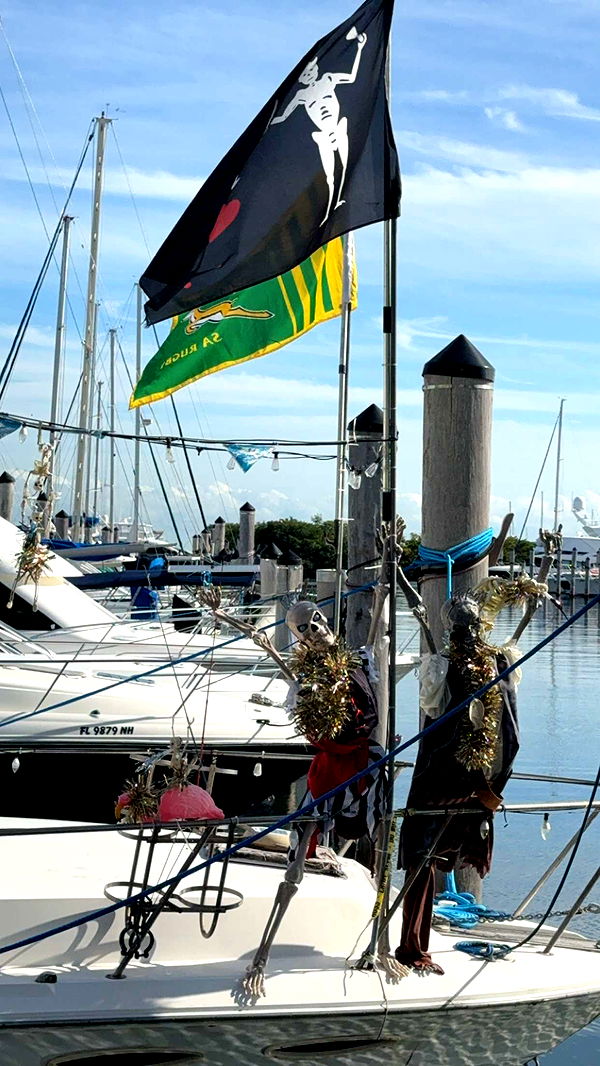 graceboor image ~ Altpins