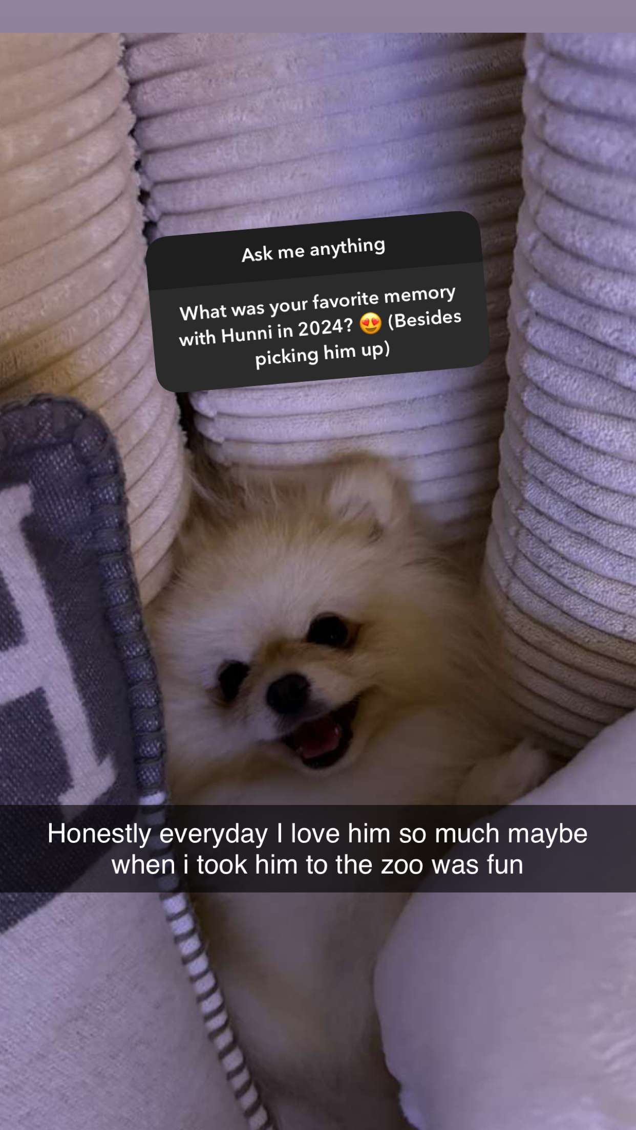 graceboor snapchat image archive image