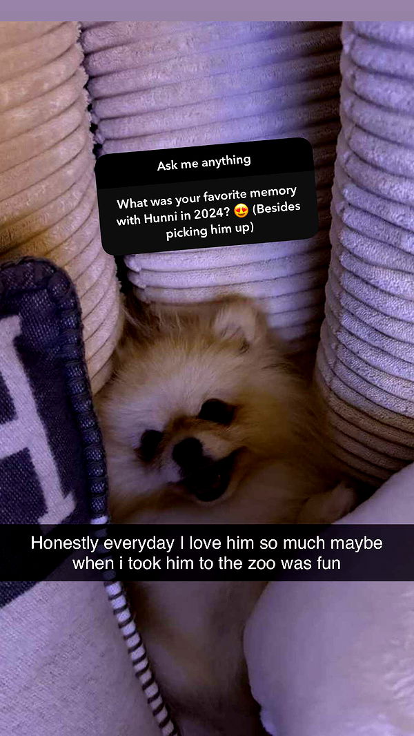 graceboor image ~ Altpins