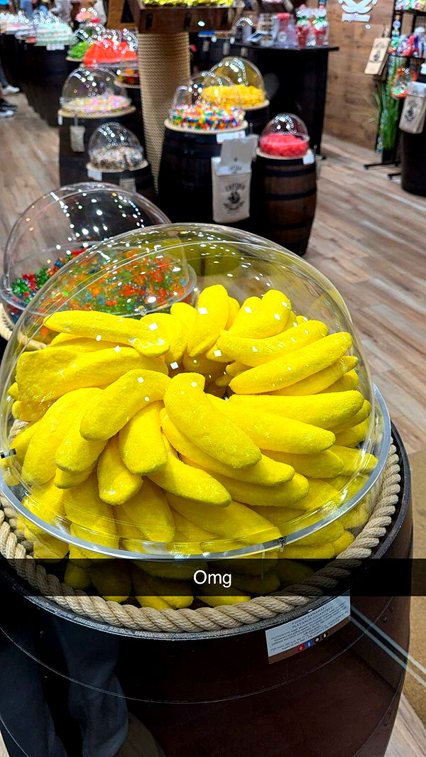 graceboor image ~ Altpins