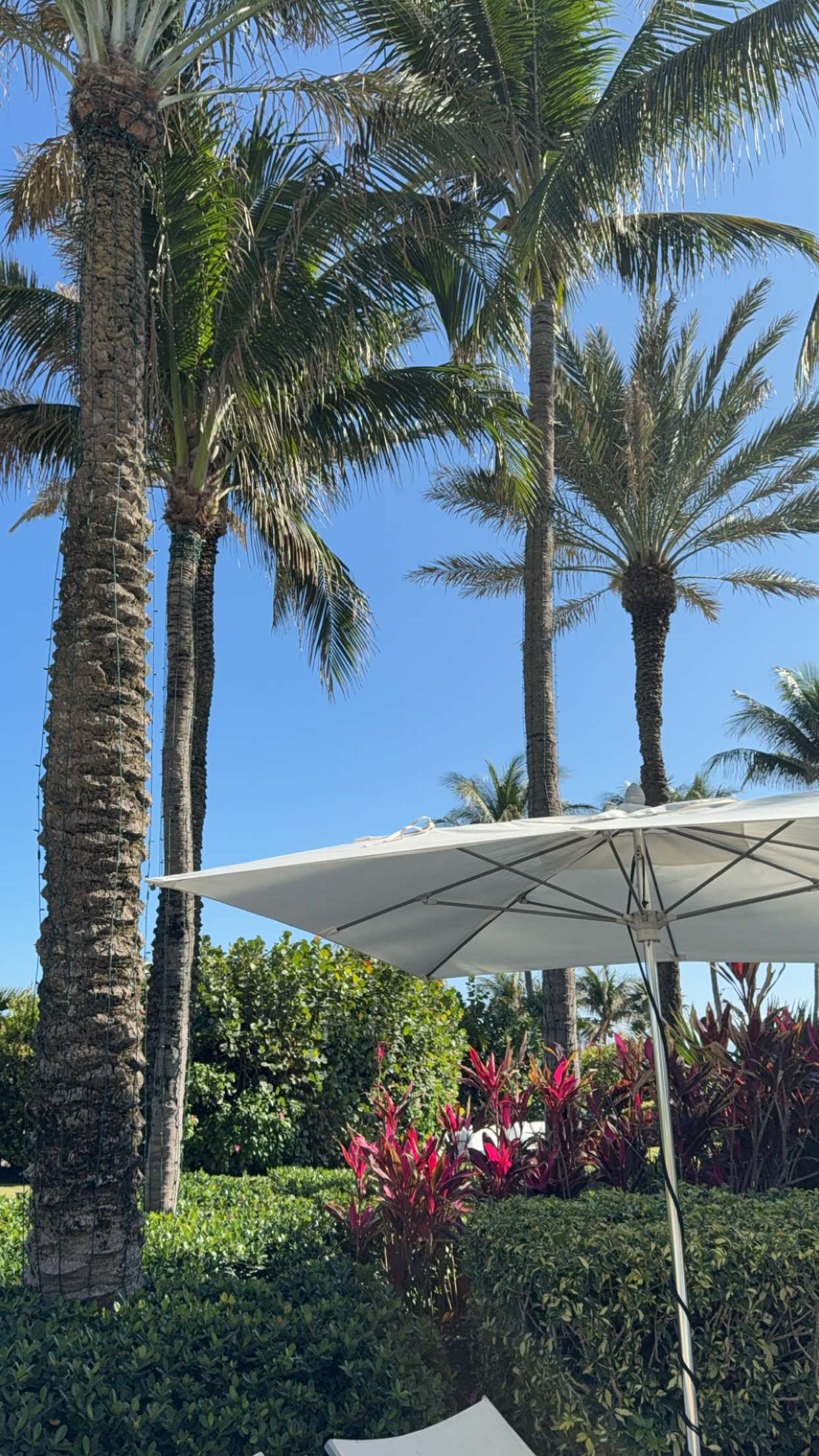 graceboor snapchat image archive image