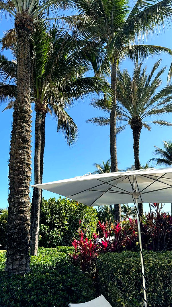 graceboor image ~ Altpins