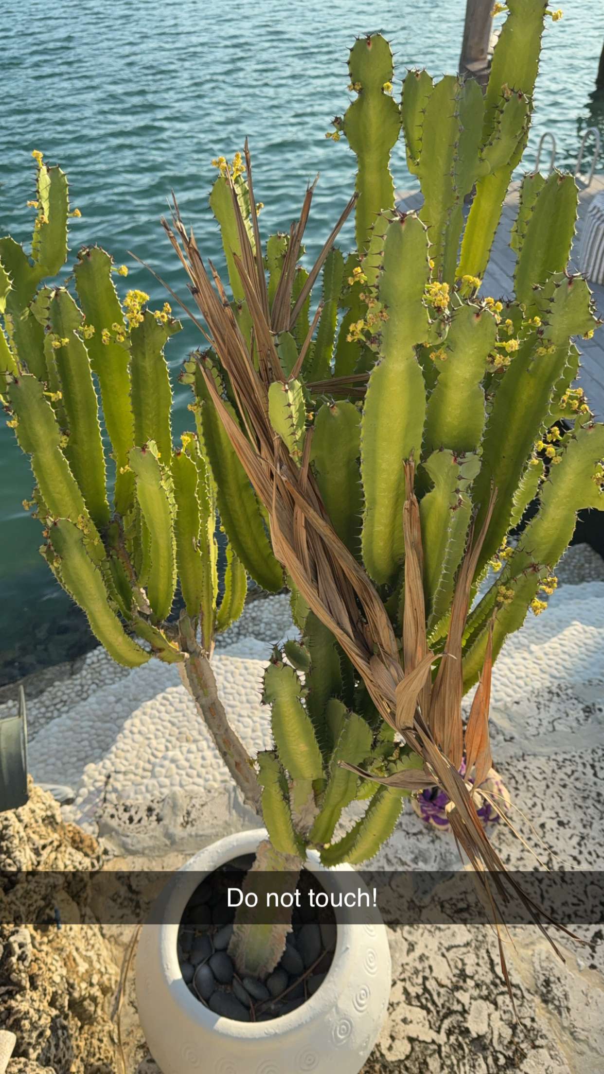 graceboor snapchat image archive image