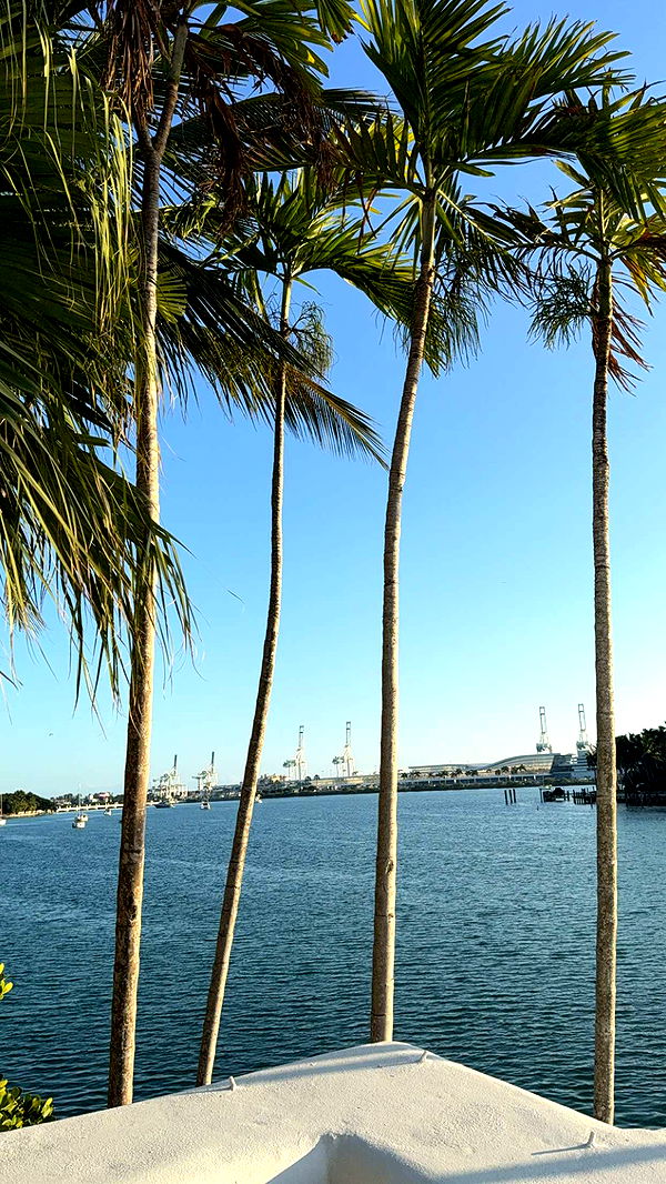 graceboor image ~ Altpins