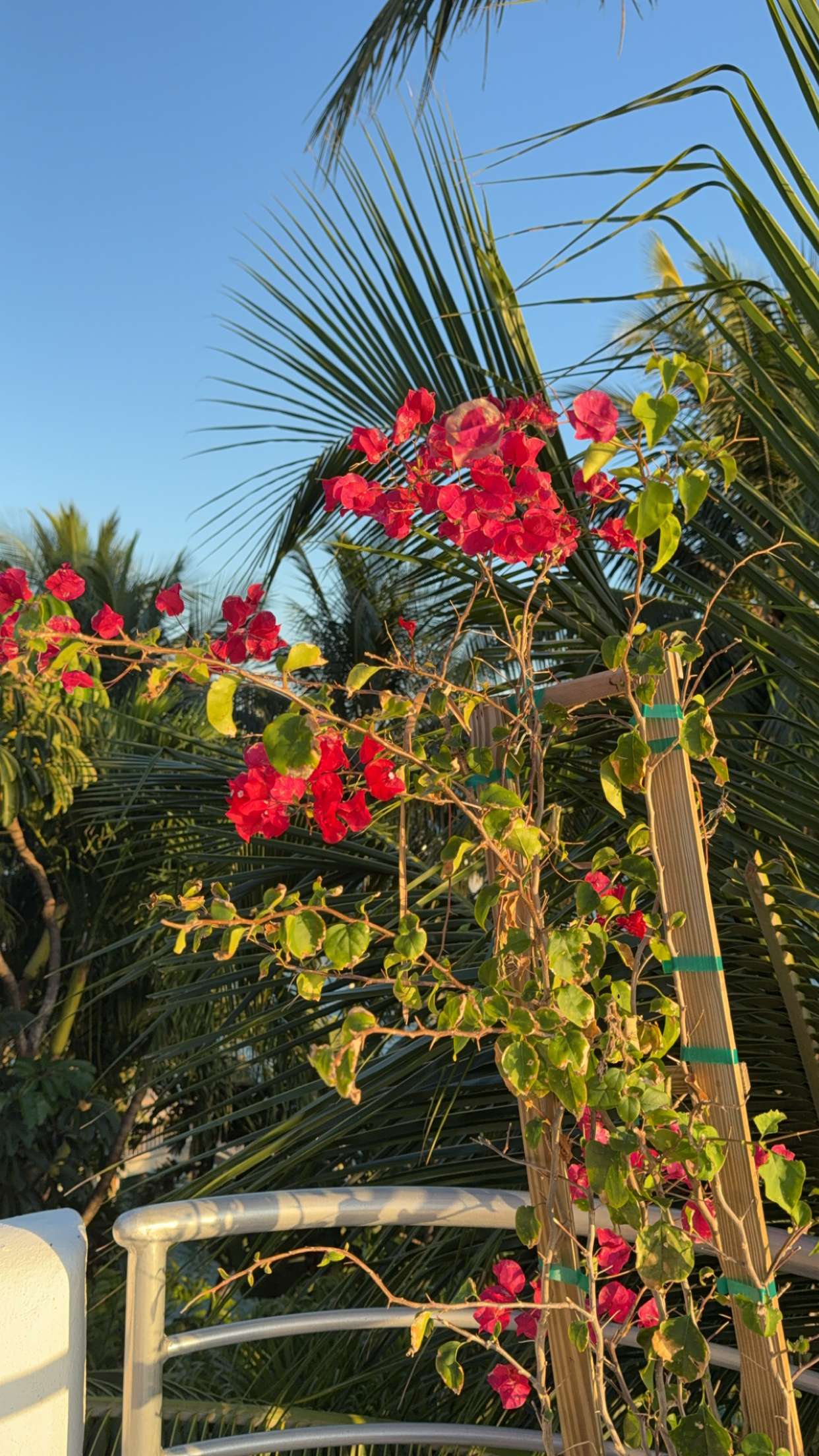 graceboor snapchat image archive image