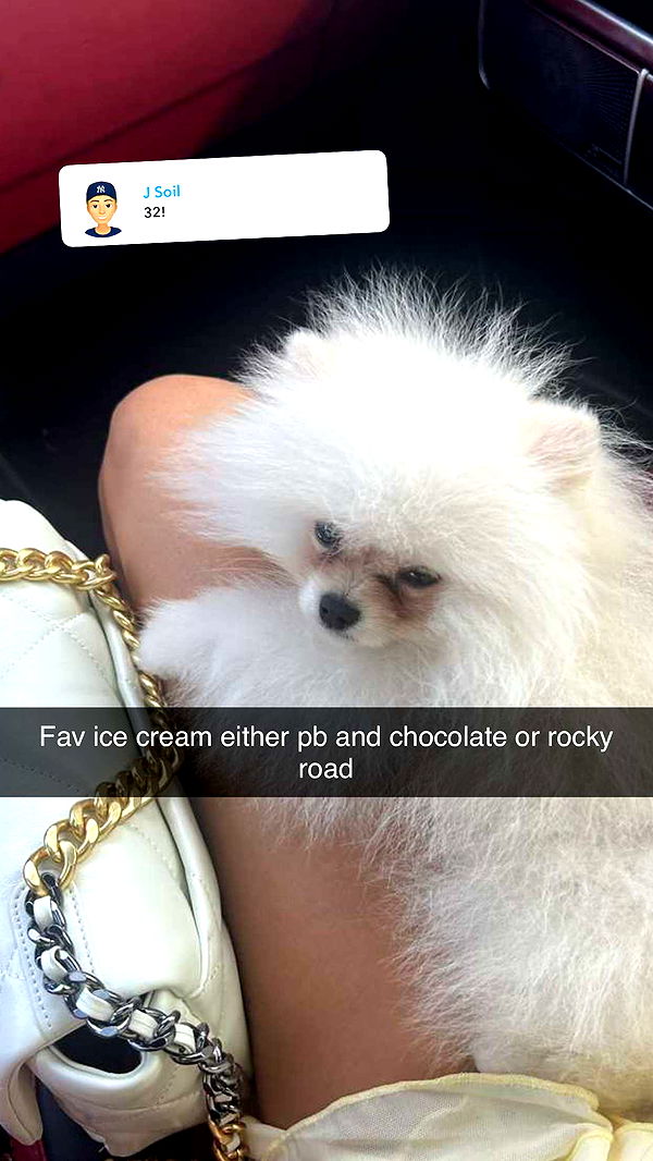 graceboor image ~ Altpins