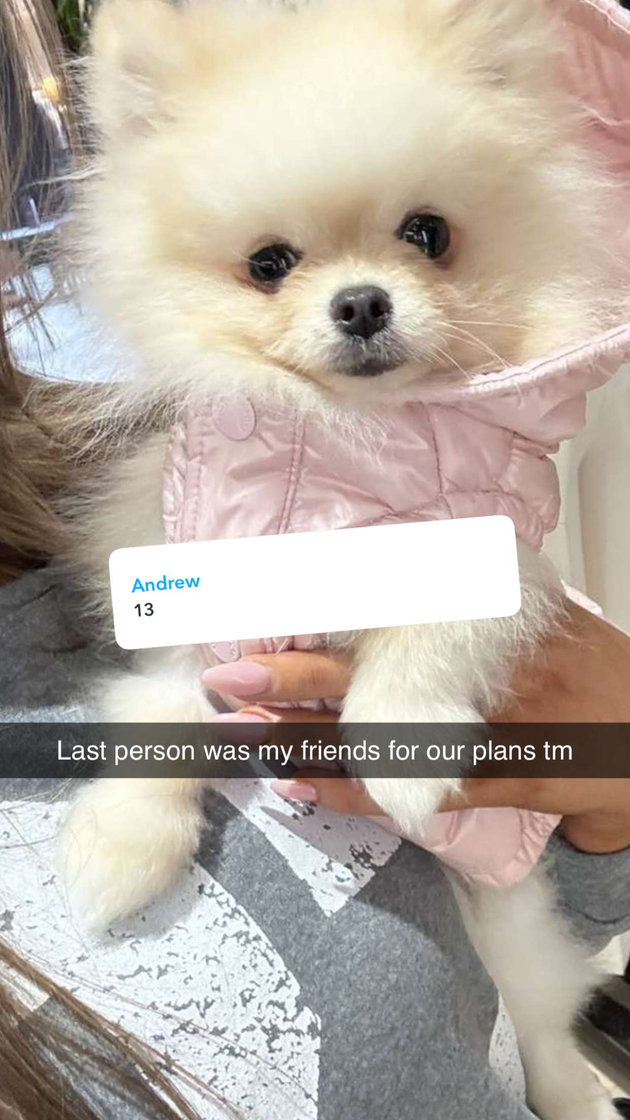 graceboor snapchat image archive image