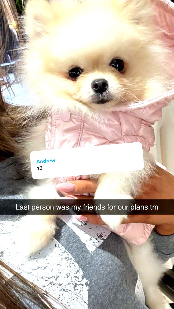 graceboor image ~ Altpins