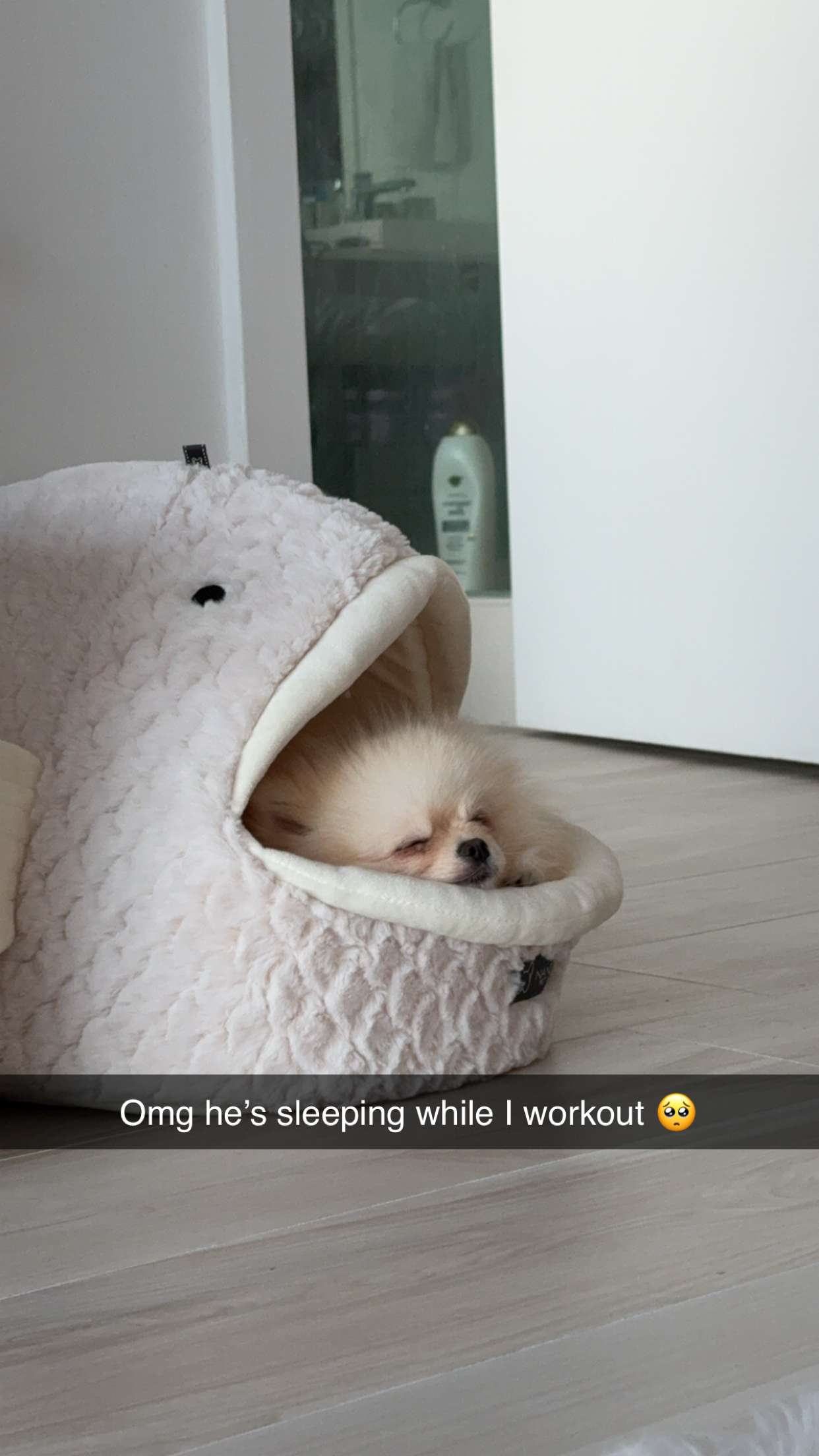 graceboor snapchat image archive image