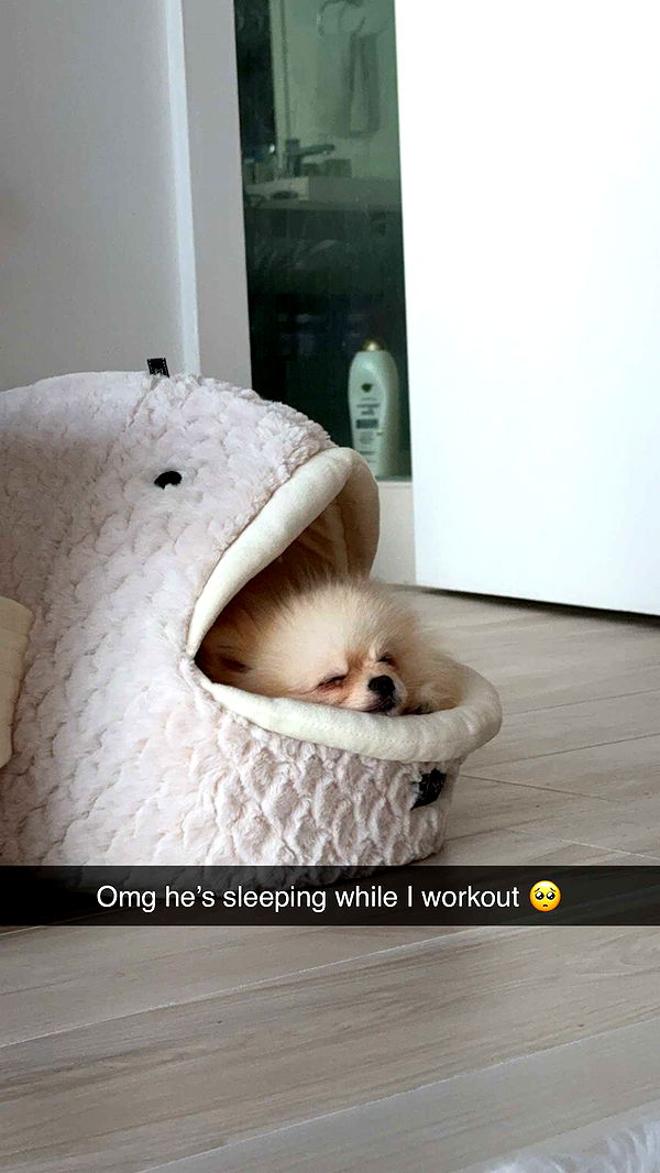 graceboor image ~ Altpins