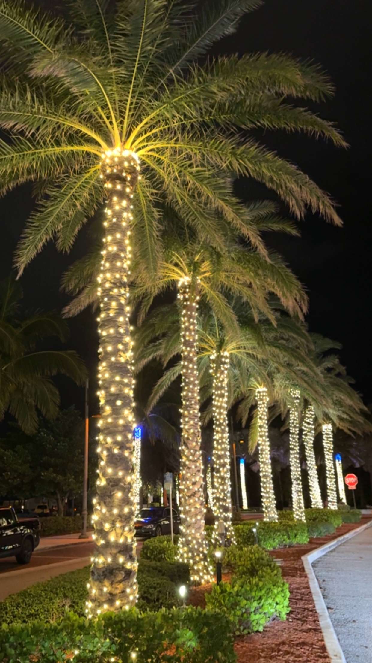 graceboor snapchat image archive image