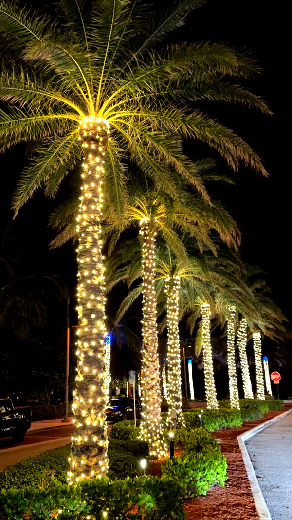 graceboor image ~ Altpins