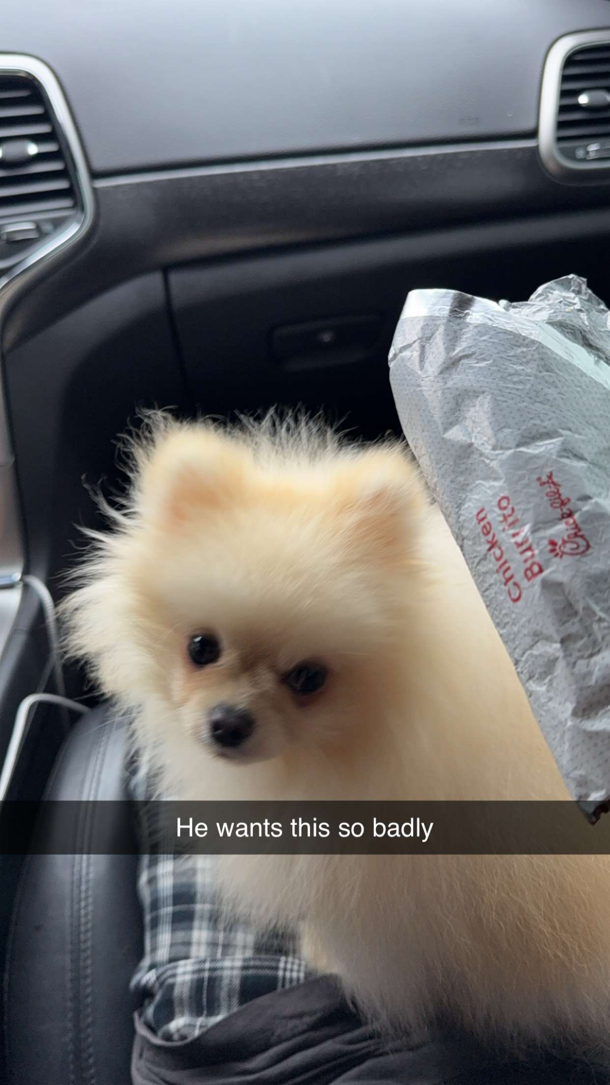 graceboor snapchat image archive image