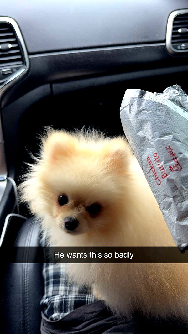 graceboor image ~ Altpins