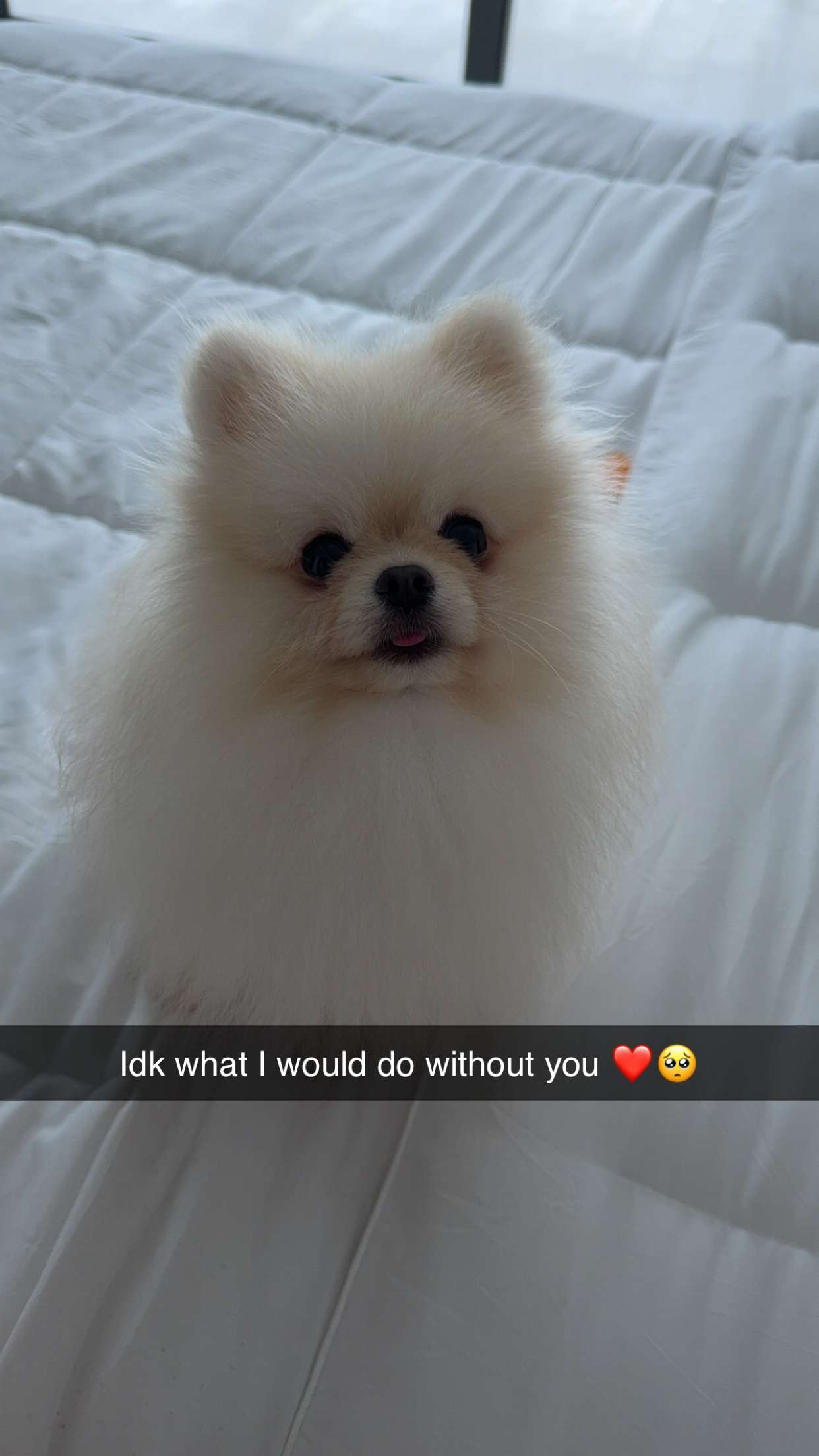 graceboor snapchat image archive image