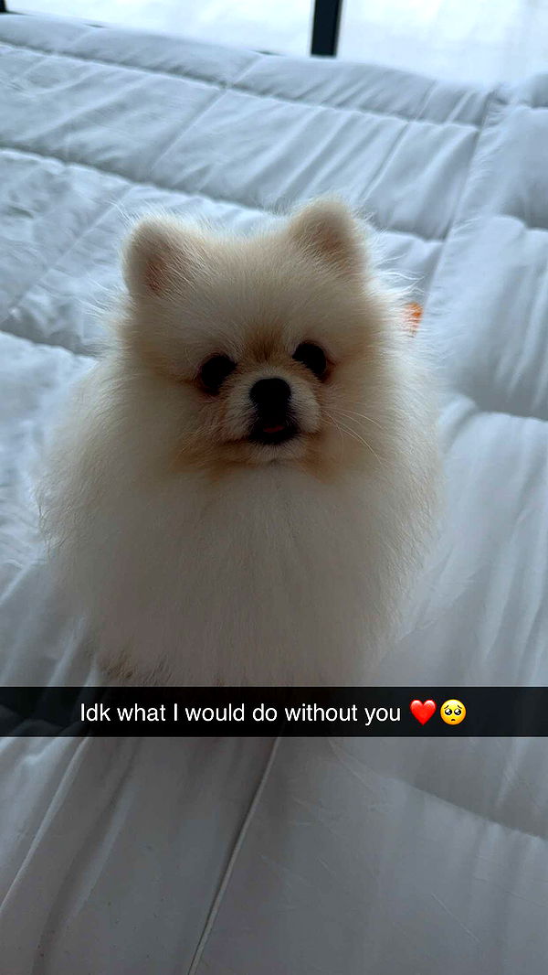 graceboor image ~ Altpins