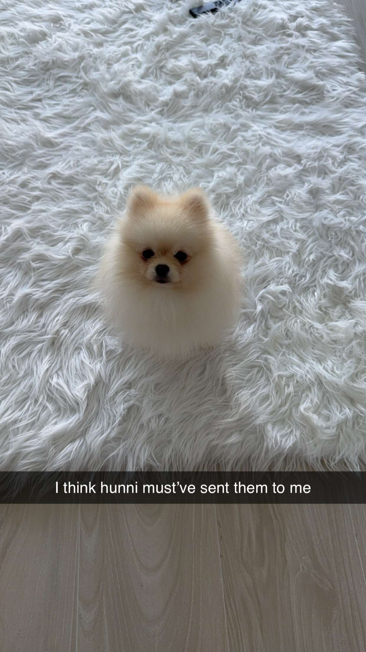 graceboor snapchat image archive image