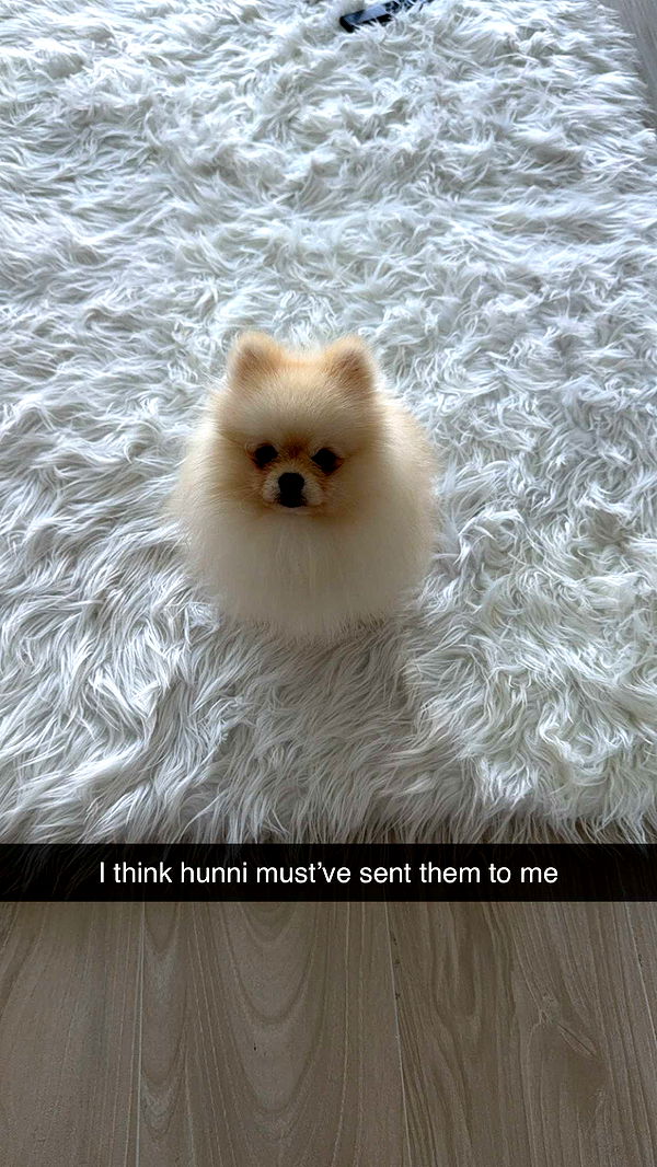 graceboor image ~ Altpins