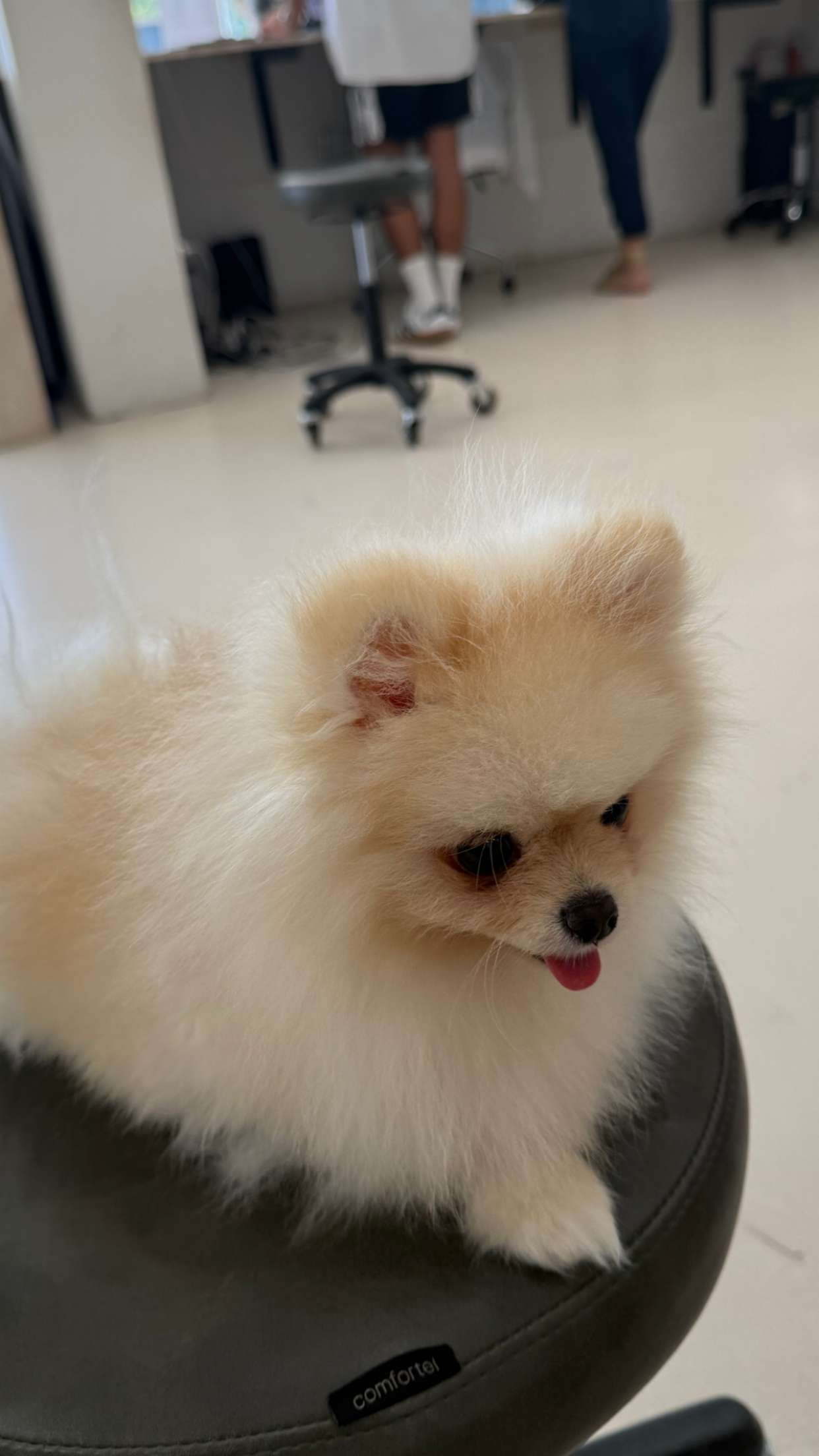 graceboor snapchat image archive image