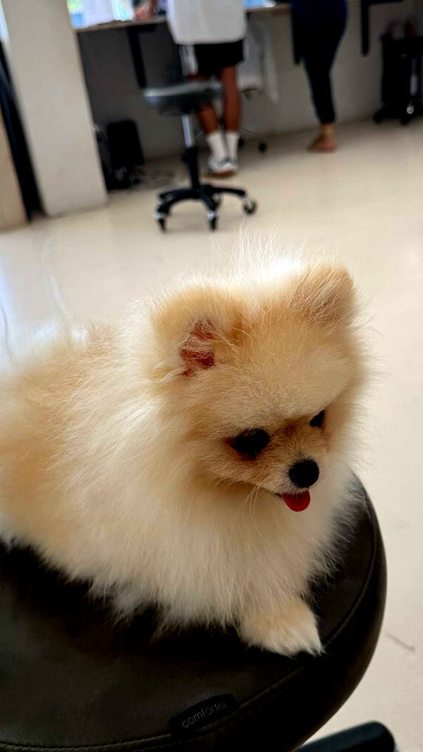 graceboor image ~ Altpins