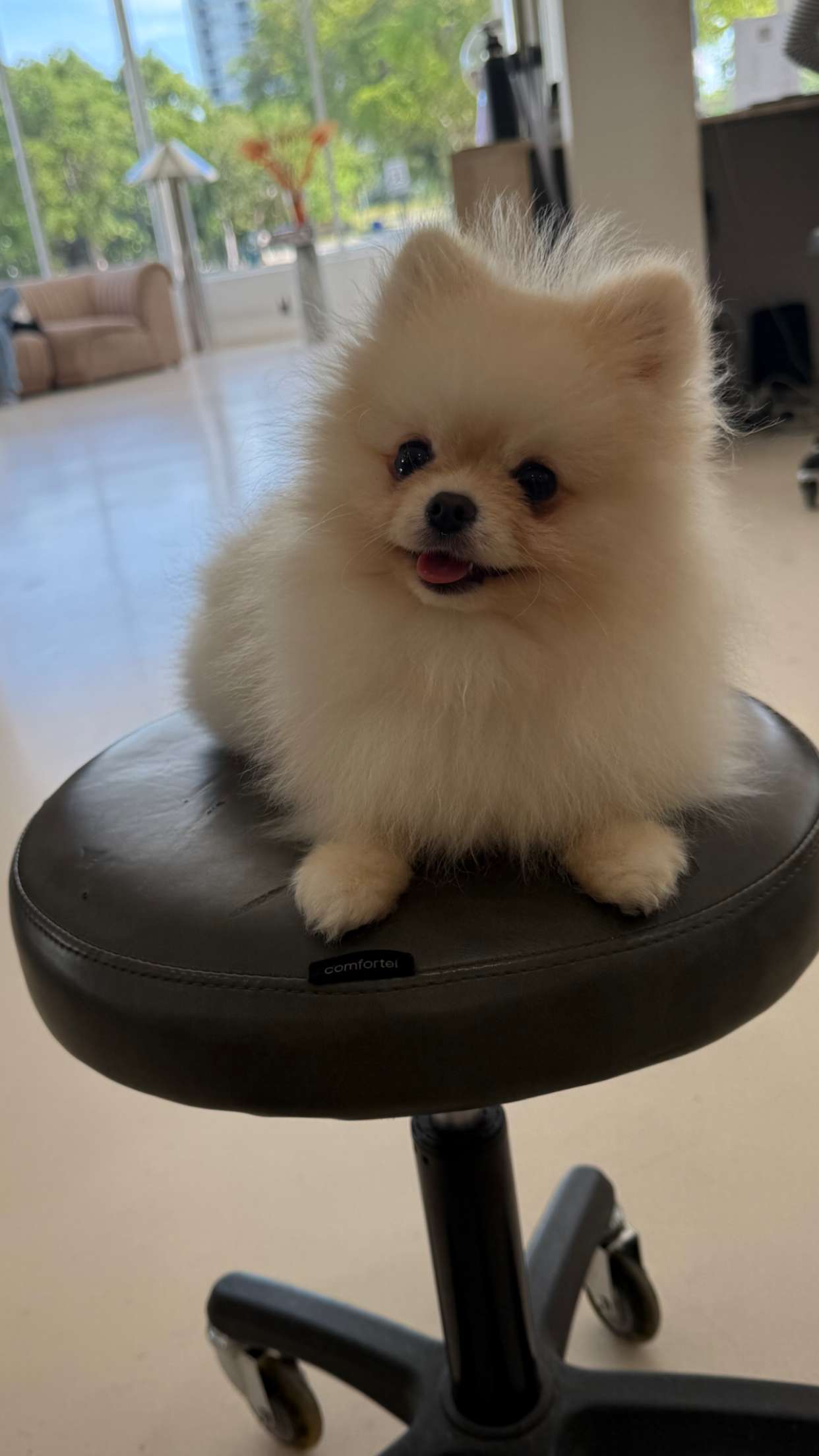 graceboor snapchat image archive image