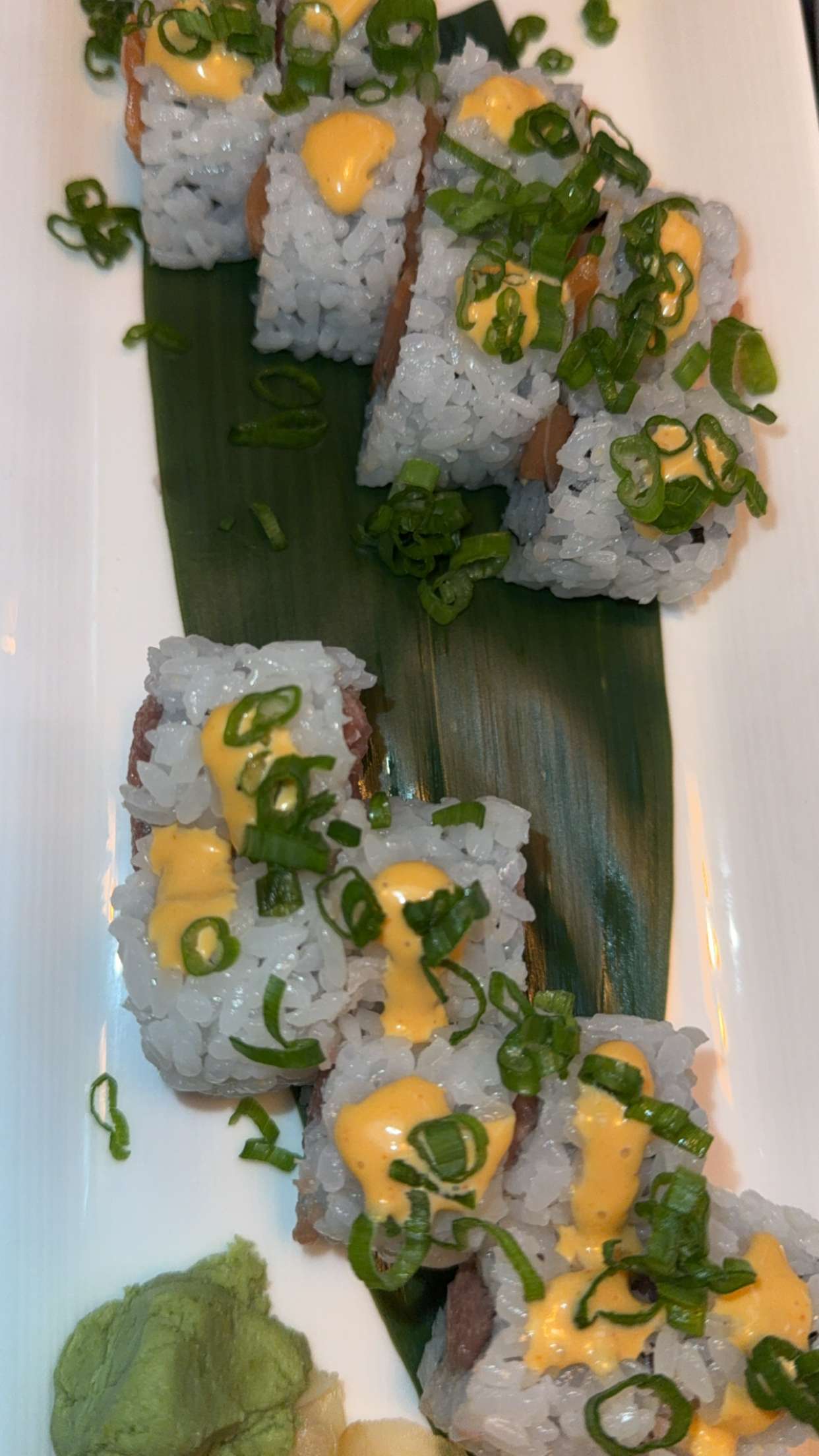 graceboor snapchat image archive image