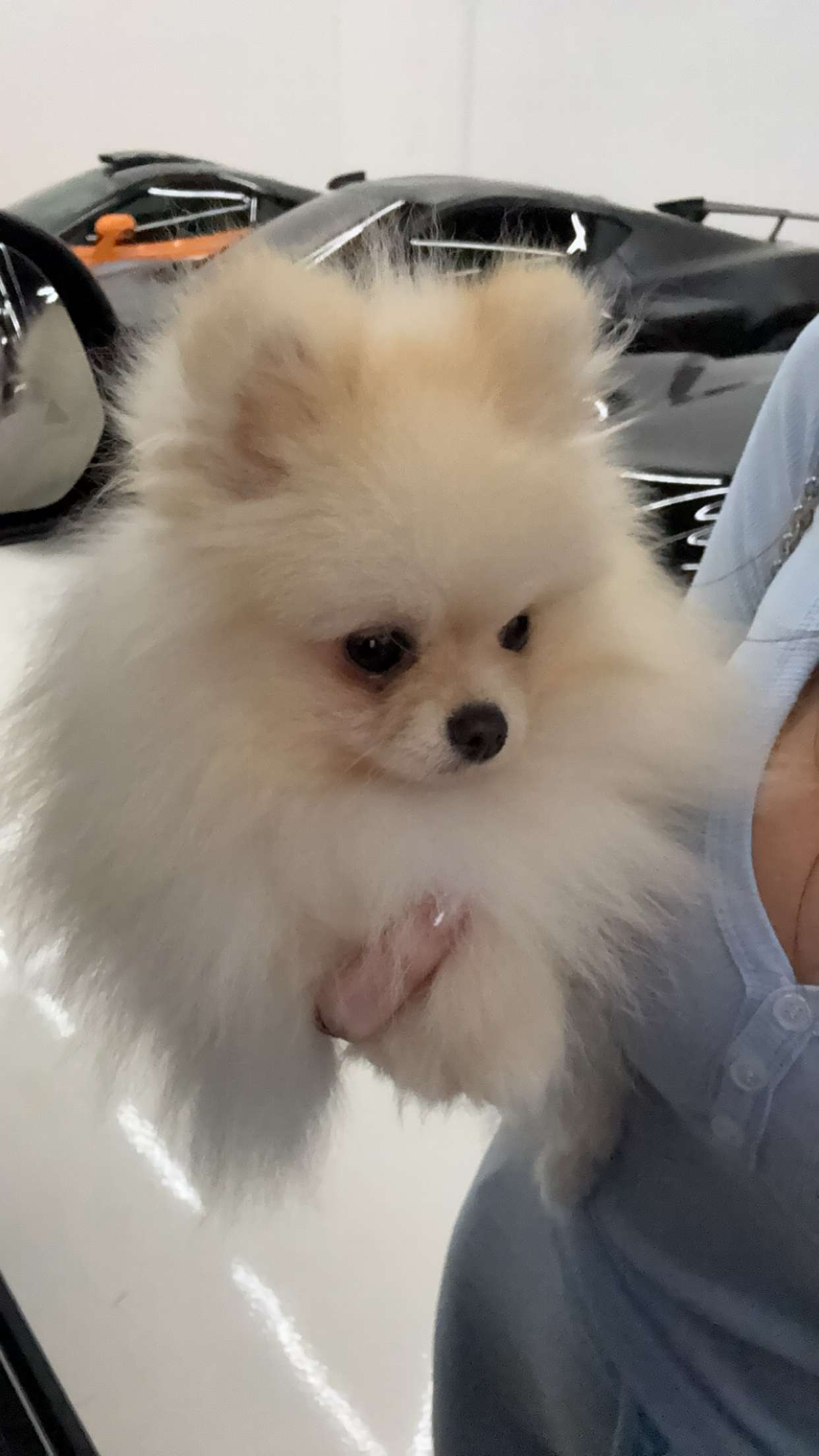 graceboor snapchat image archive image