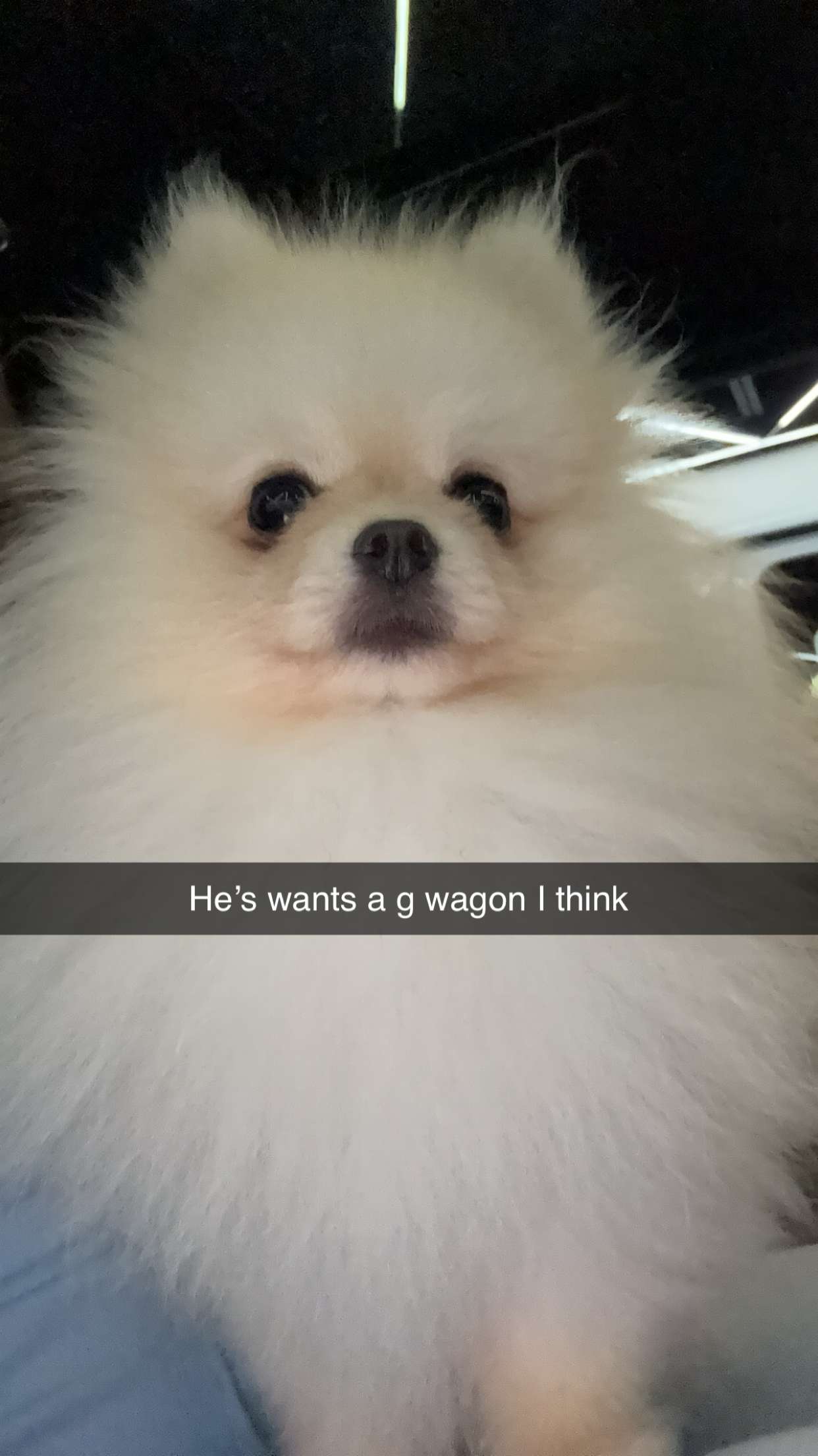 graceboor snapchat image archive image