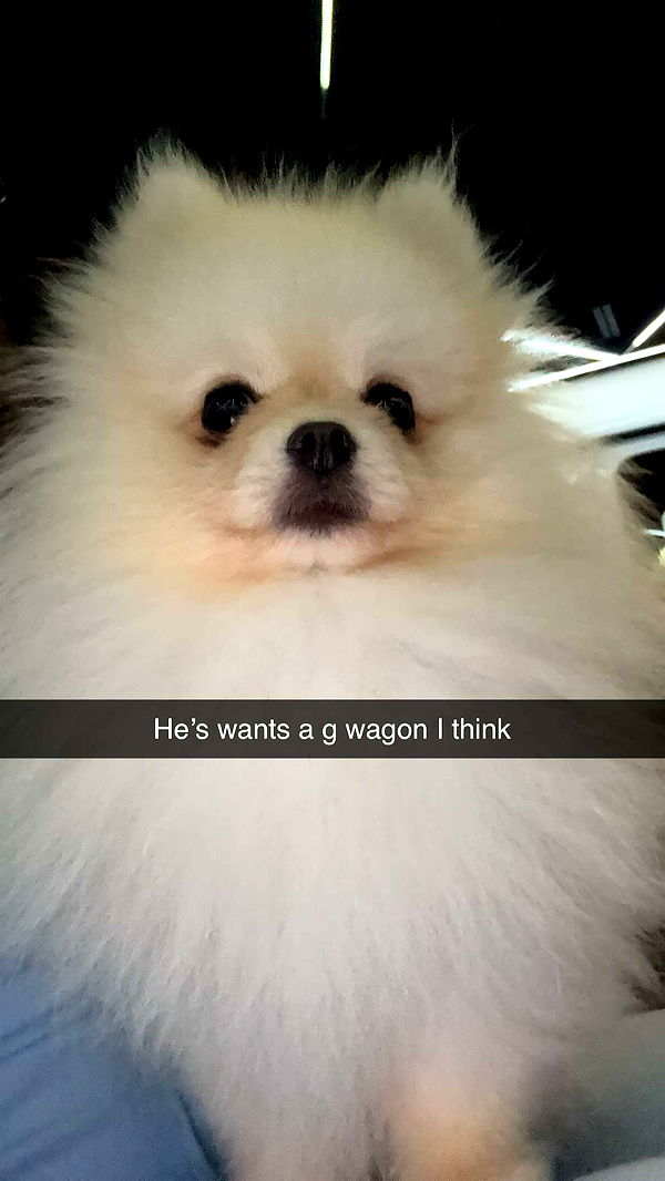 graceboor image ~ Altpins