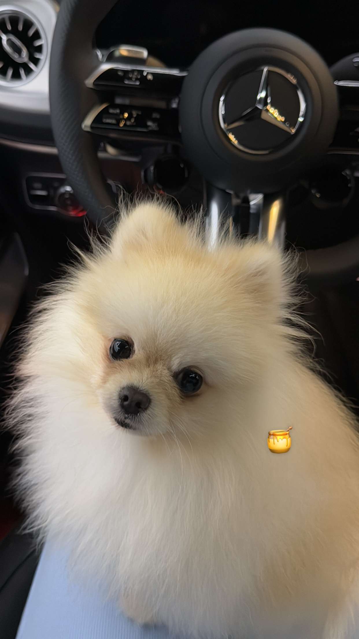 graceboor snapchat image archive image