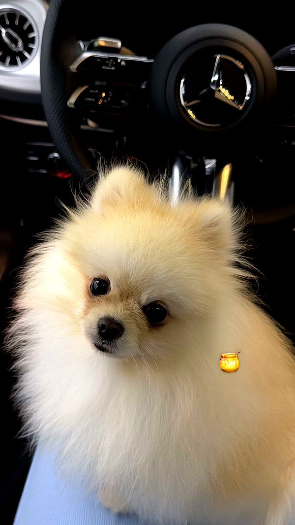 graceboor image ~ Altpins