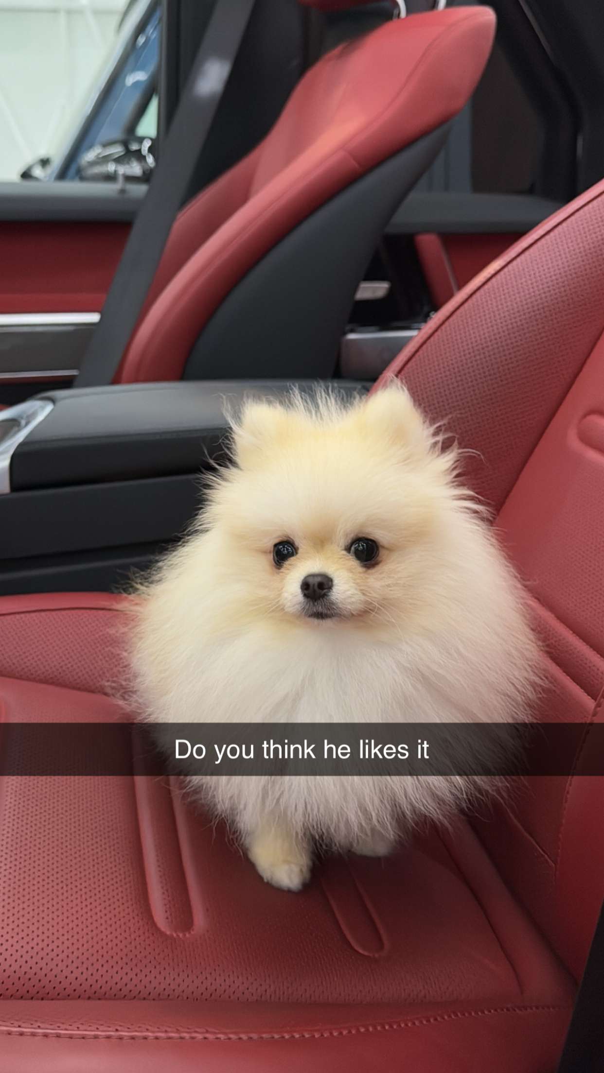 graceboor snapchat image archive image