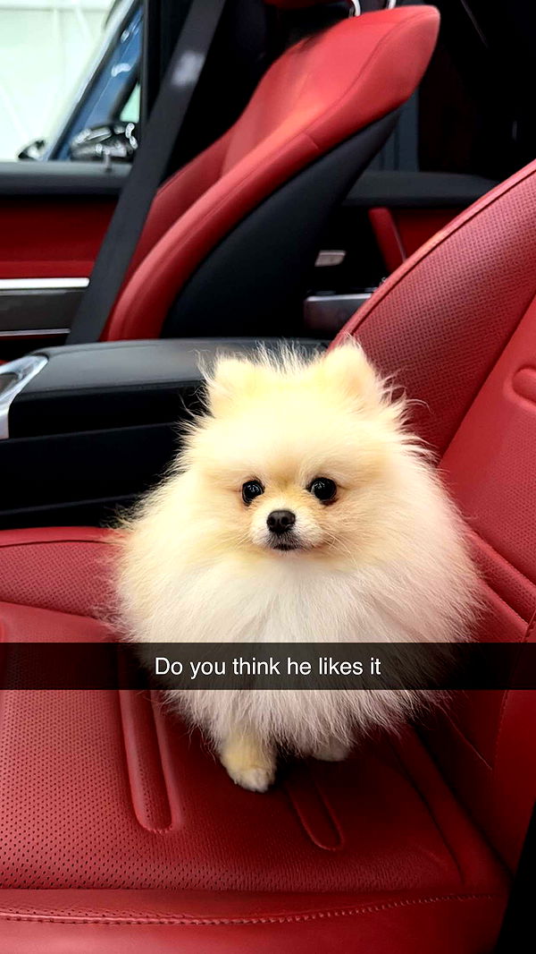 graceboor image ~ Altpins