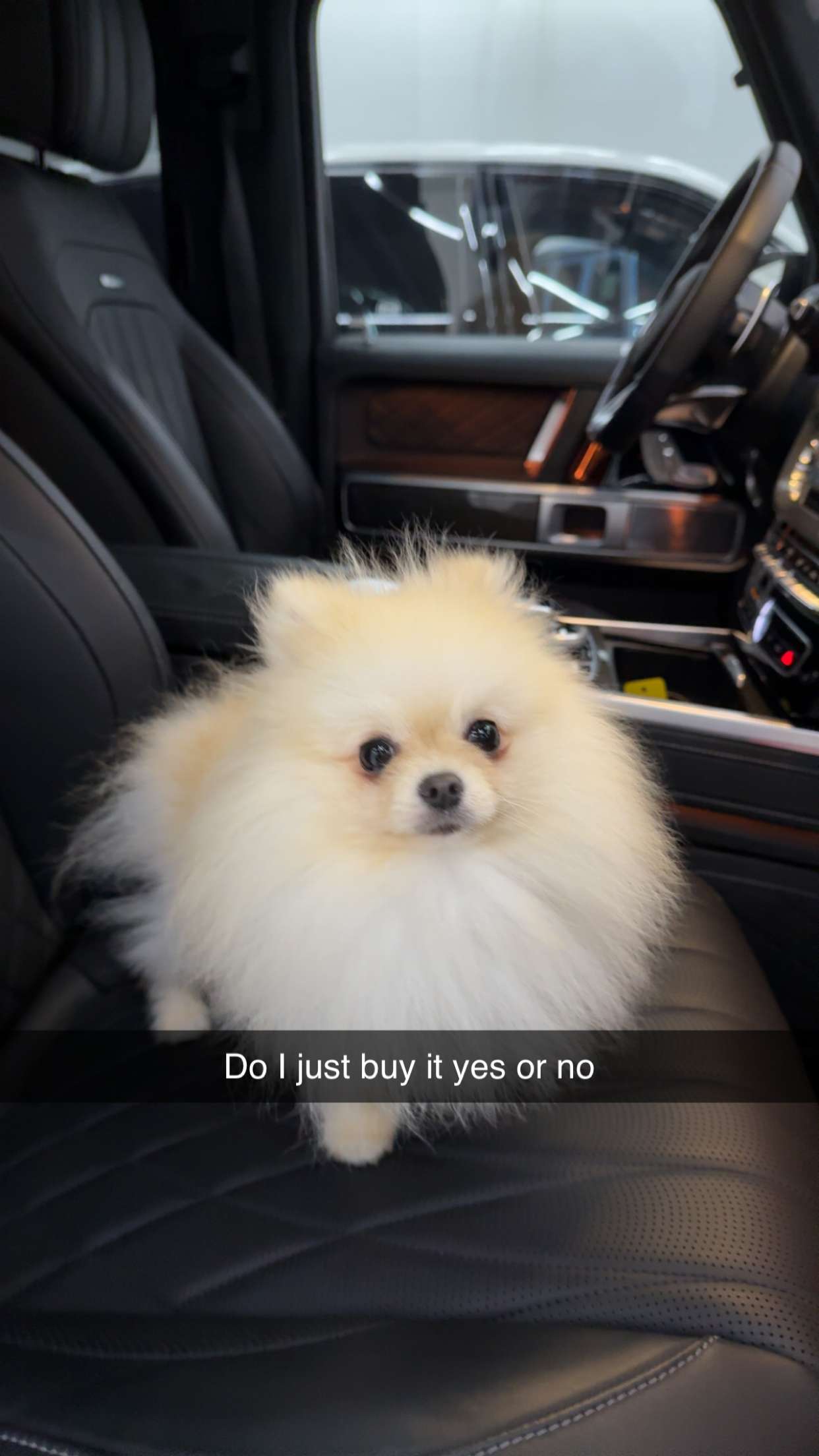 graceboor snapchat image archive image