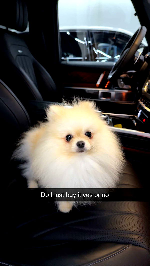 graceboor image ~ Altpins