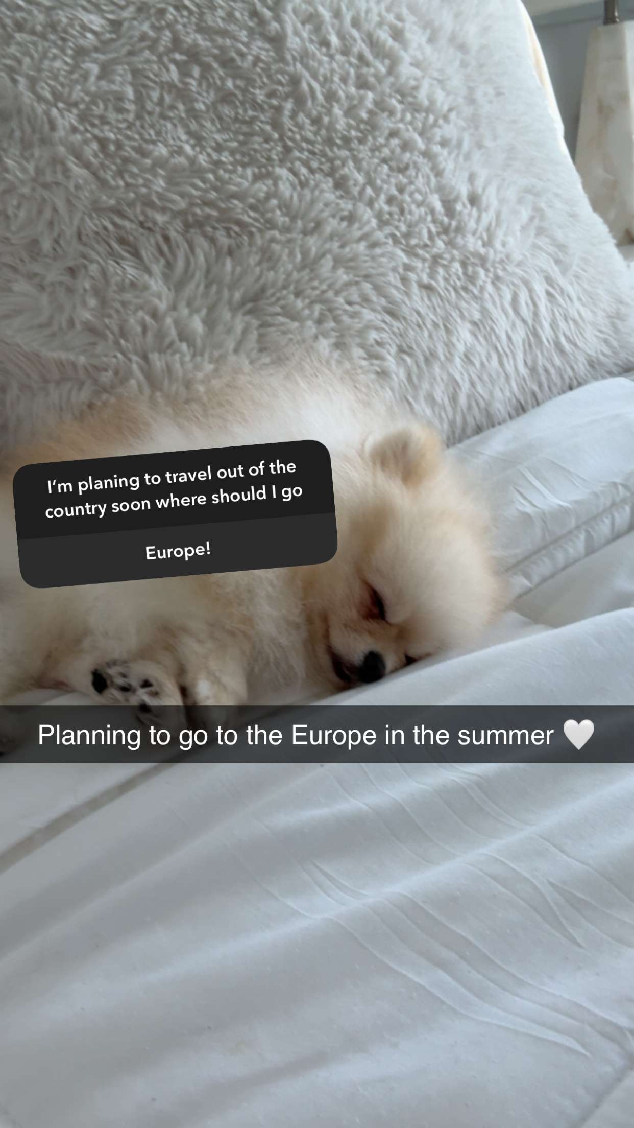 graceboor snapchat image archive image