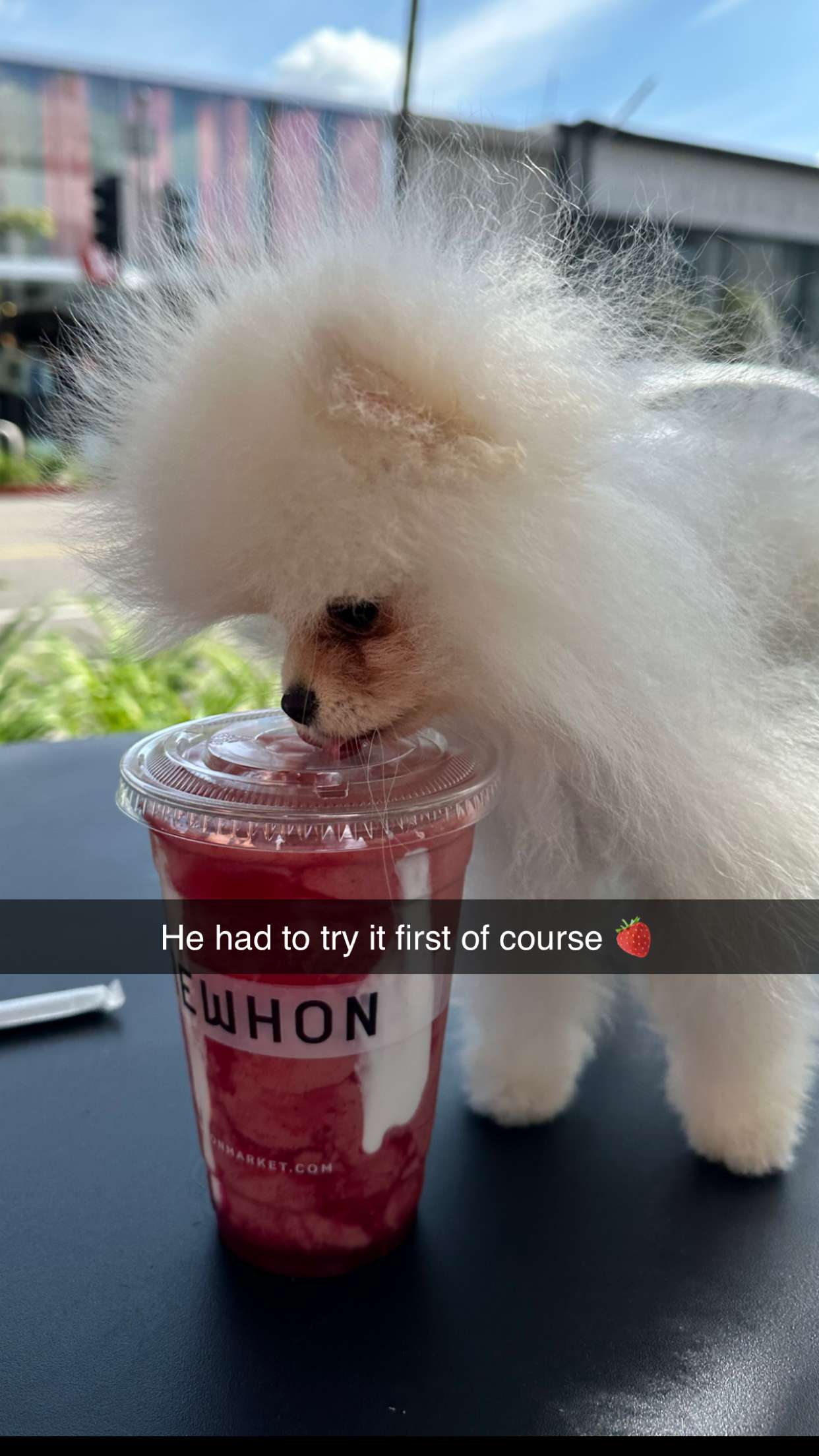 graceboor snapchat image archive image