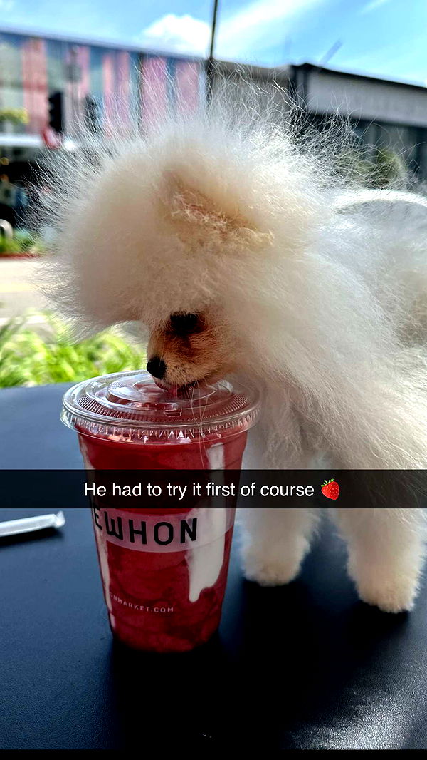 graceboor image ~ Altpins