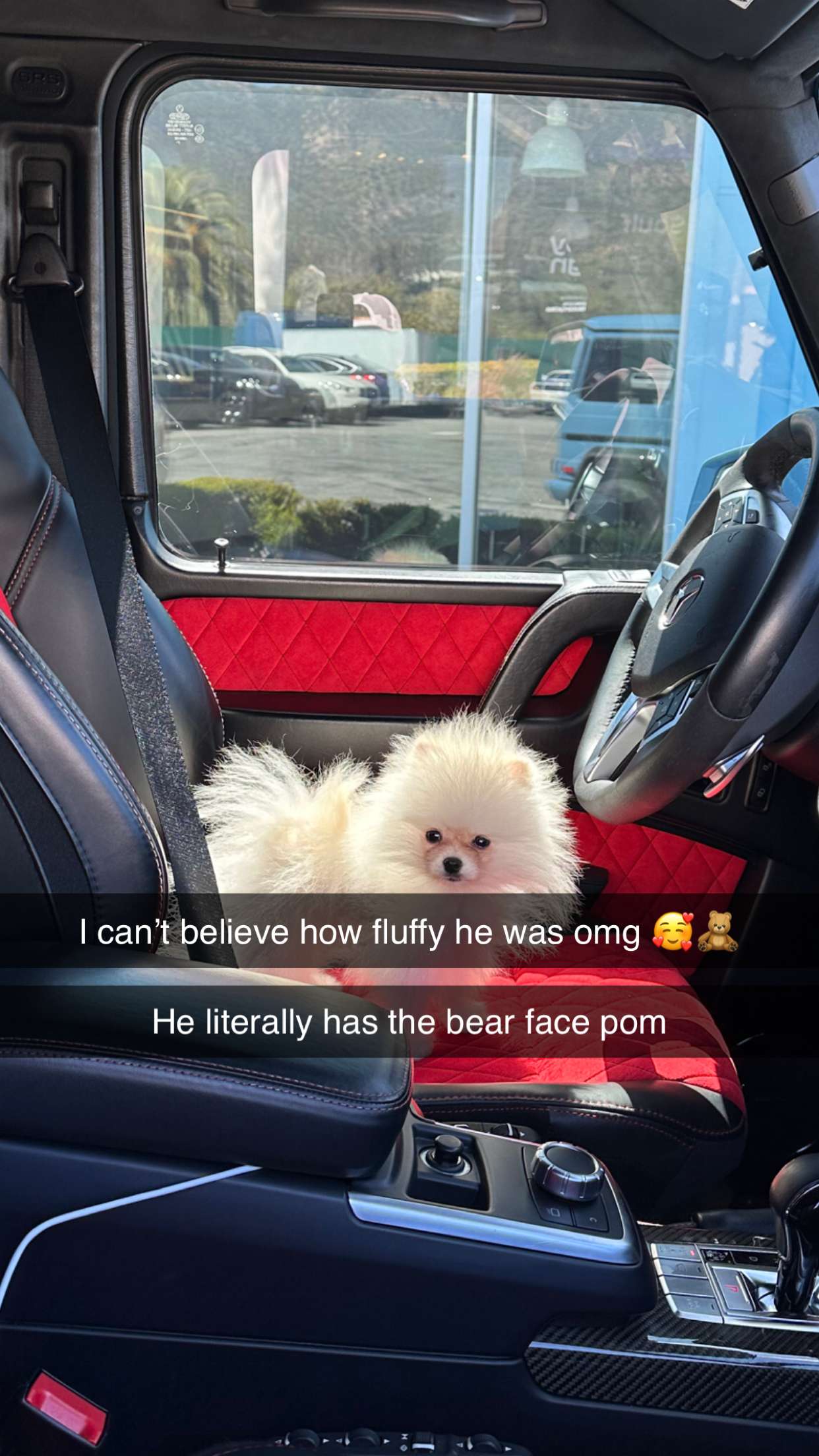 graceboor snapchat image archive image