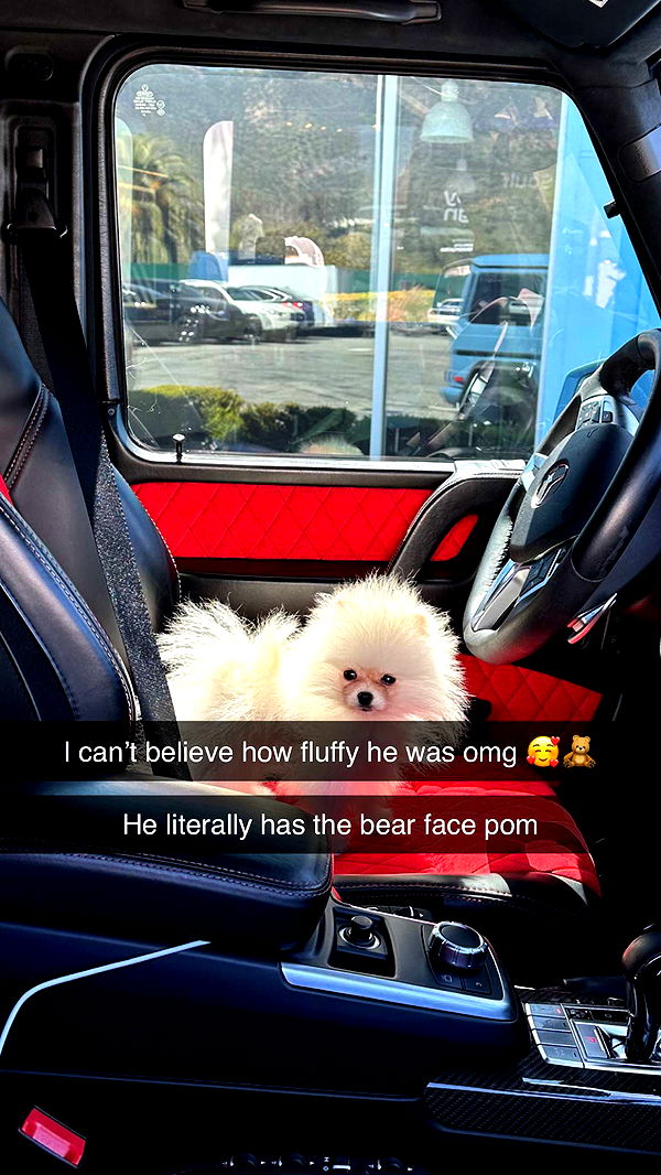 graceboor image ~ Altpins