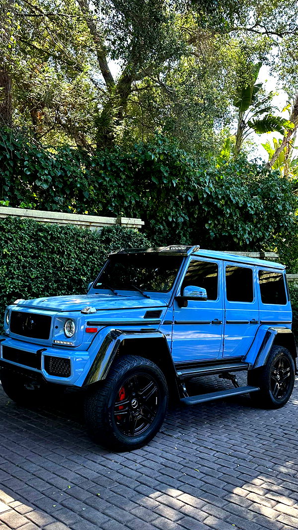 graceboor image ~ Altpins