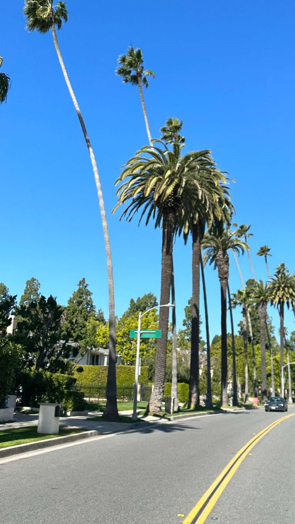 graceboor snapchat image archive image