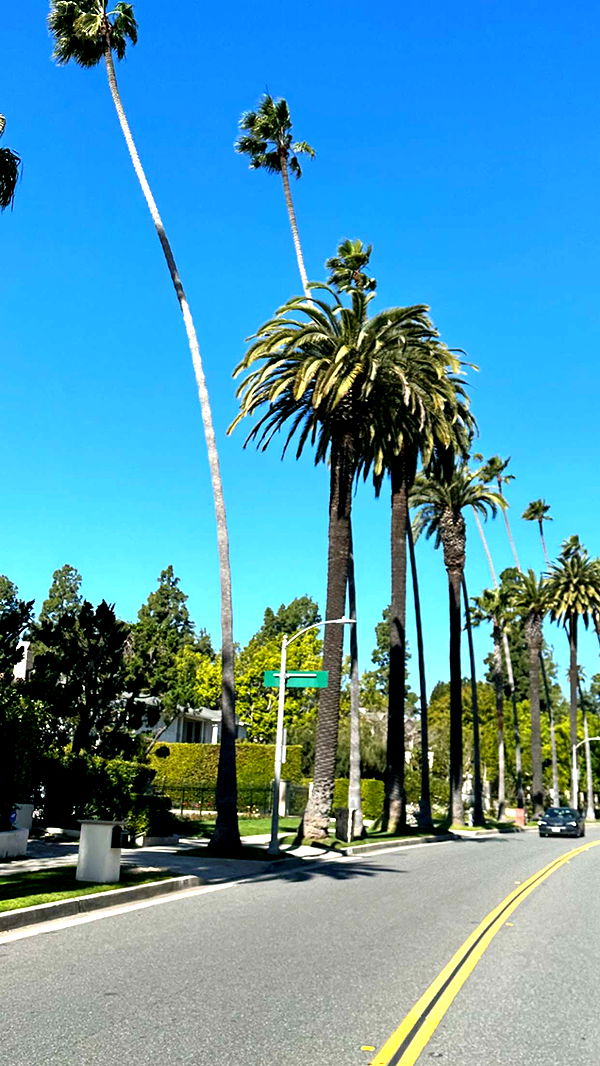 graceboor image ~ Altpins