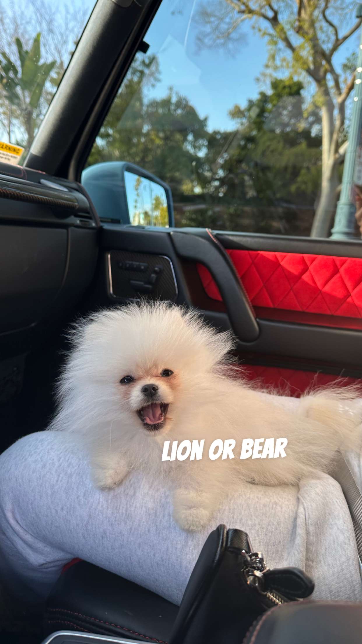 graceboor snapchat image archive image