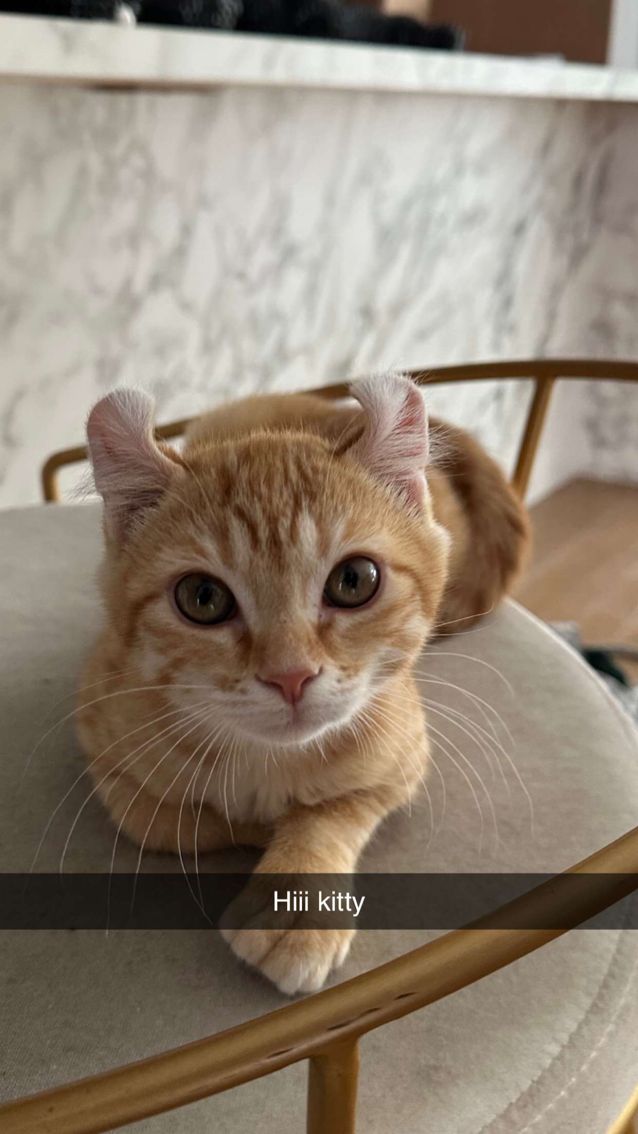 graceboor snapchat image archive image