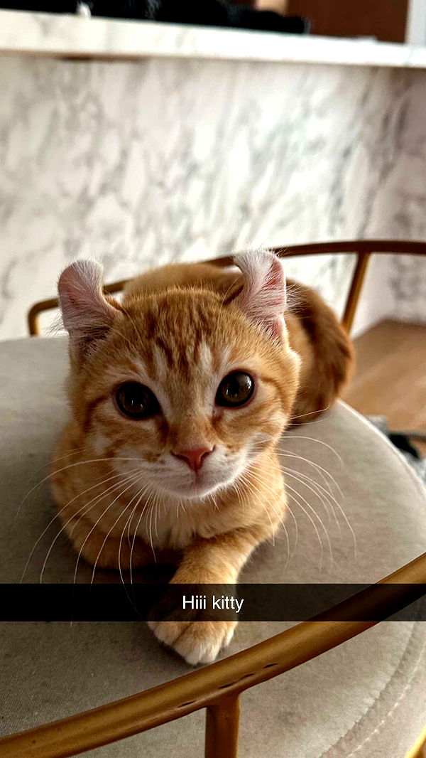 graceboor image ~ Altpins